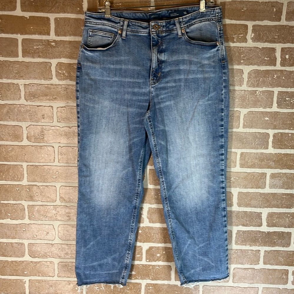 J Jill Denim High Rise Straight Leg Jeans Size 12